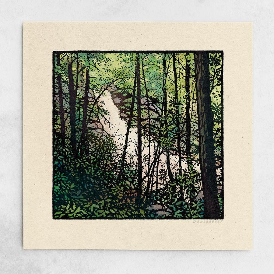Forest Collection