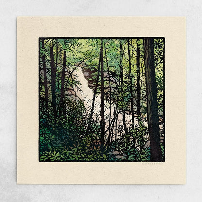 Forest Collection