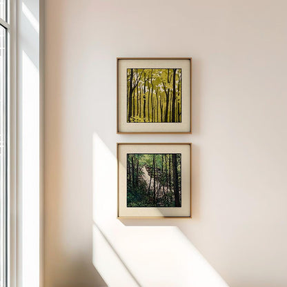 Forest Collection