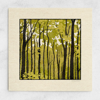 Forest Collection